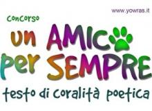 Concorso UN AMICO PER SEMPRE, TESTO DI CORALITA' POETICA